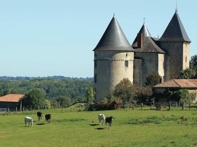 Chateau De Brie