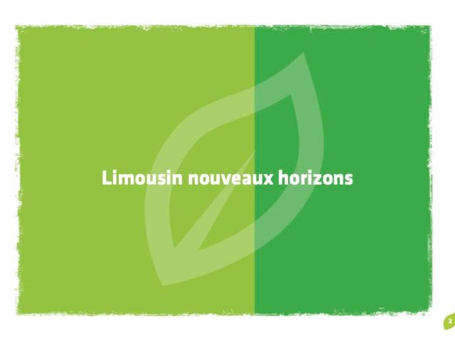 Guide De Marque Limousin Nouveaux Horizons Def 2