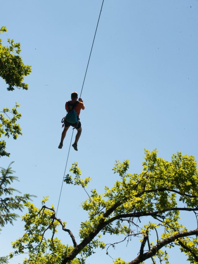 Parc Aventure - Lac de Saint-Pardoux