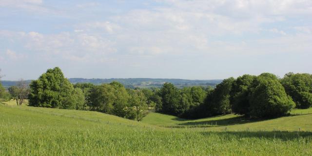 Paysage Valloné Monts d'Ambazac