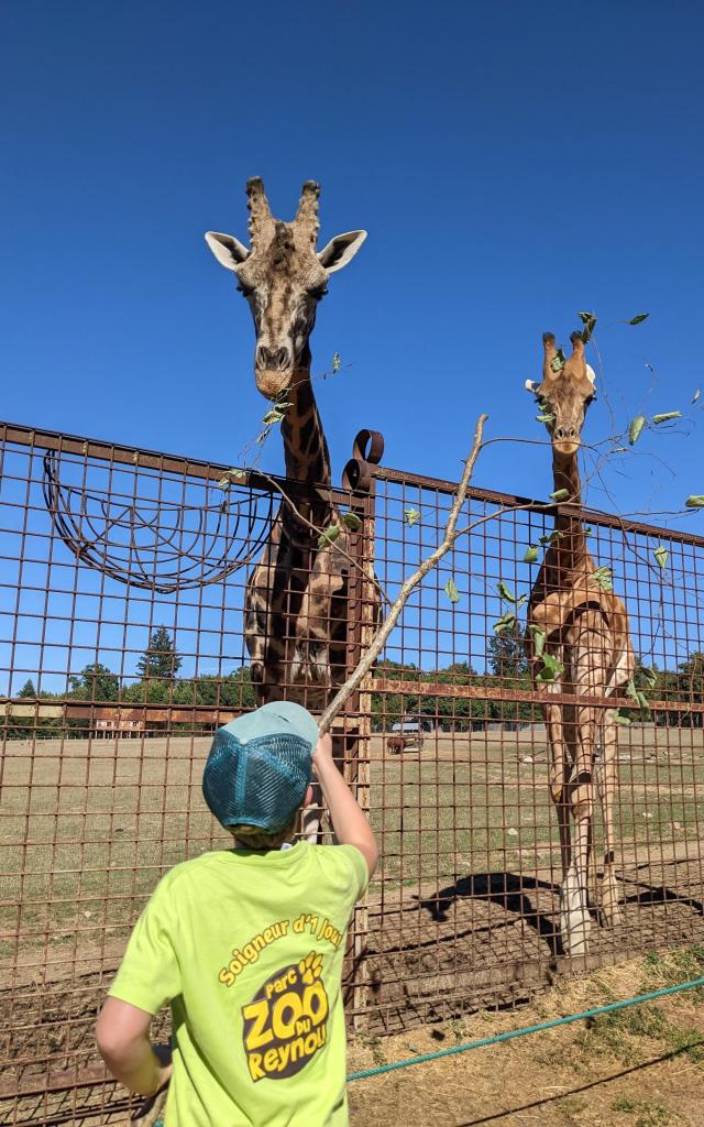 Annniversaire Zoo Du Reynou