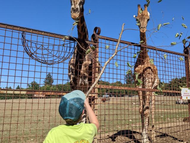 Annniversaire Zoo Du Reynou