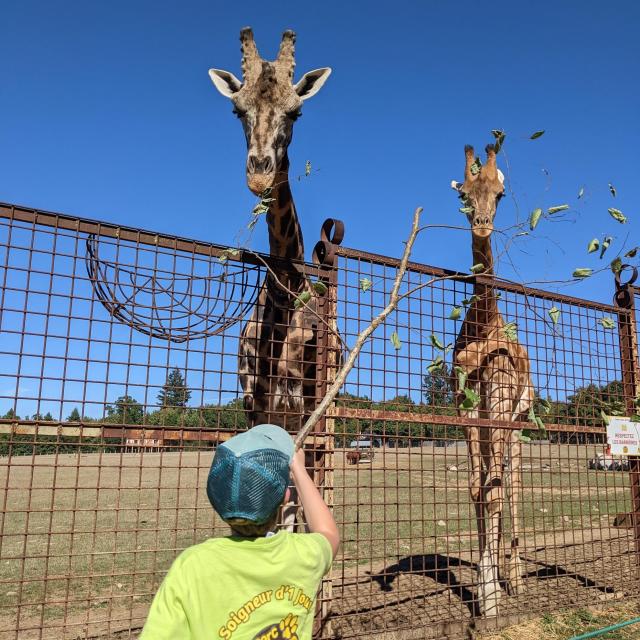 Annniversaire Zoo Du Reynou