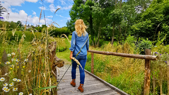 Jardin Médiéval De Rilhac Lastours