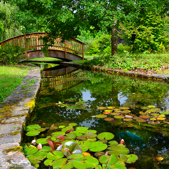 Jardin De Saint Jean Ligoure