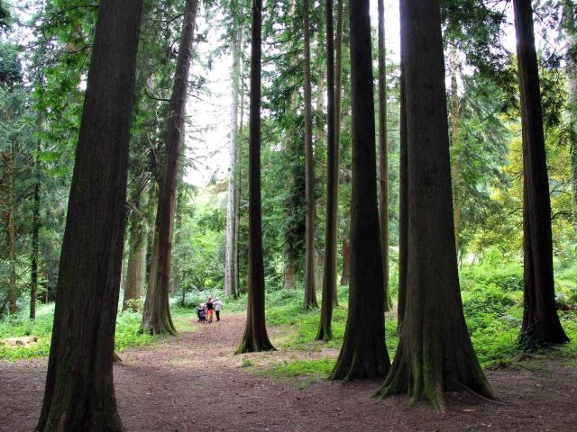 La Jonchere Arboretum - week-end entre amis haute-vienne