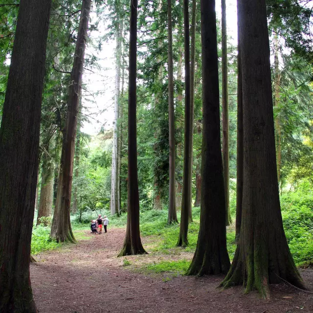 La Jonchere Arboretum - week-end entre amis haute-vienne