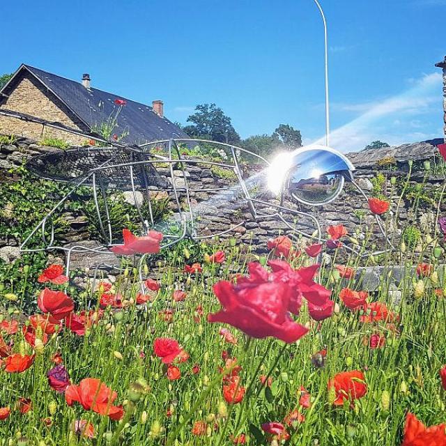 Musée C Sabourdy Fleurs