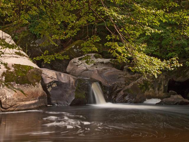 Saut De La Brame Haut Limousin