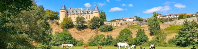 Vue Du Château De Rochechouart ©porte Océane Du Limousin