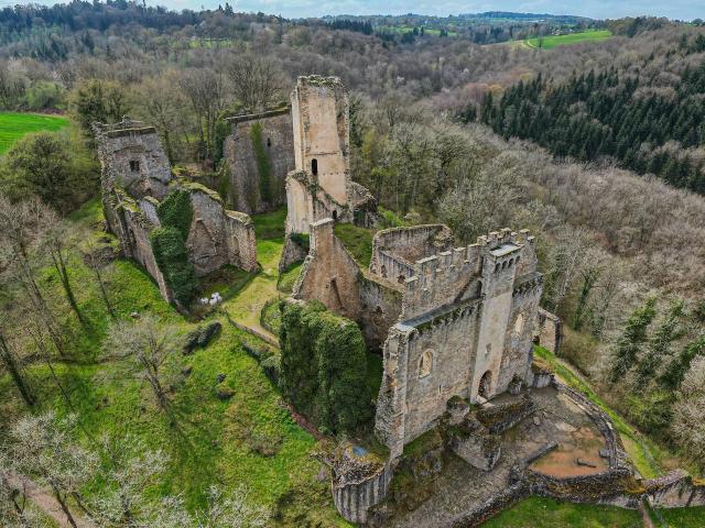 Chalucet Drone Limousin