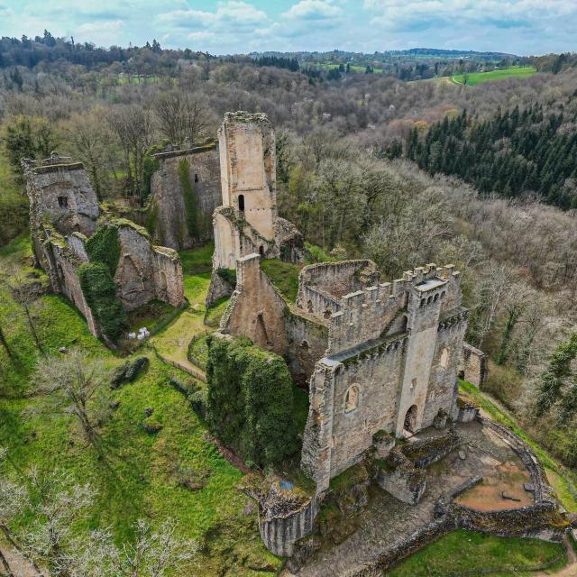 Chalucet Drone Limousin