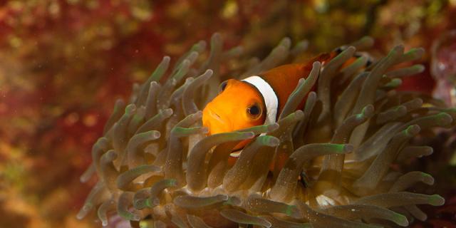 Aquarium du Limousin