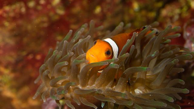 Aquarium du Limousin