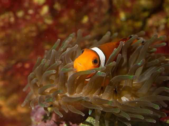 Aquarium du Limousin