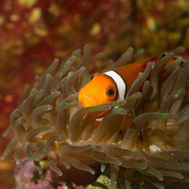 Aquarium du Limousin