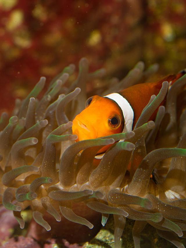 Aquarium du Limousin