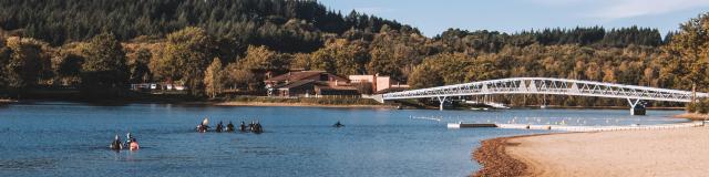 Longe Côte Lac De Saint Pardoux