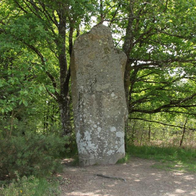 Menhir Ceinturat Cieux Tourisme Hautlimousin