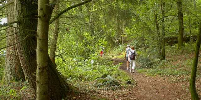 Randonnée Sousbois Couple