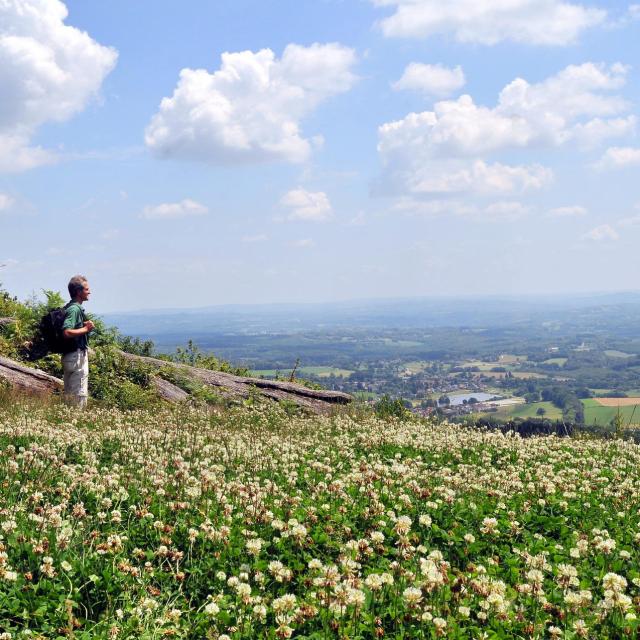 Randonneur Solo Paysage