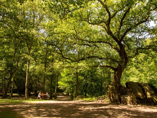 Site Corot à Saint Junien