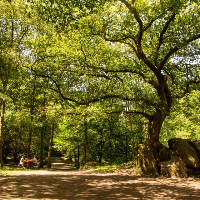 Site Corot à Saint Junien