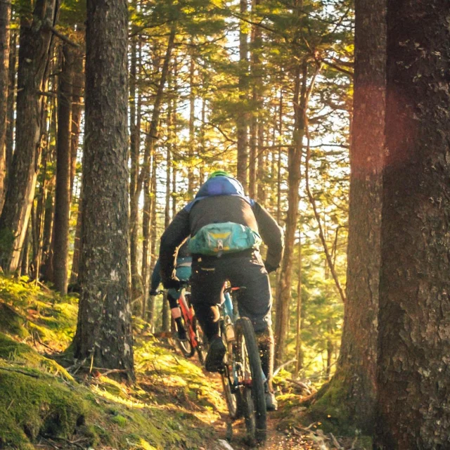 Tim Foster Vtt Unsplash