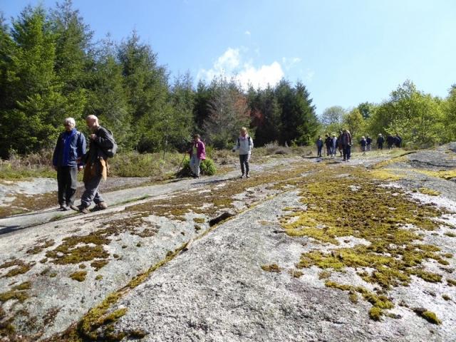 Sentier des pierres à légende, COmpreignac