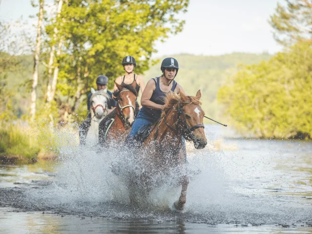 Apn Cheval Vassiviere©christophe Péan 2021 (1)