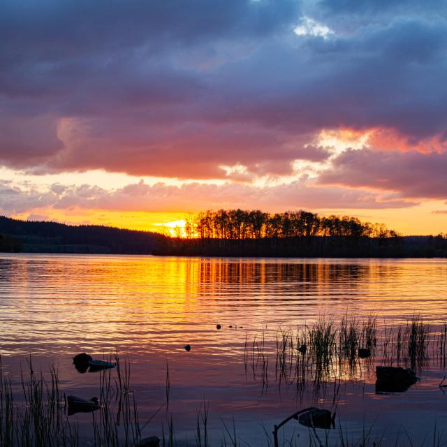 Paysage Sunset Lac Vassiviere©maxime Authier 2022 (18)