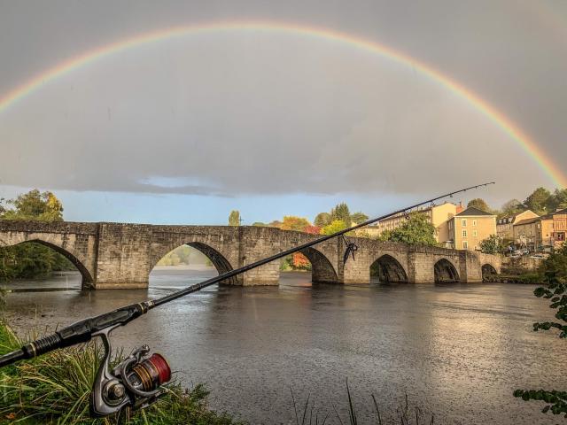 Vienne à Limoges