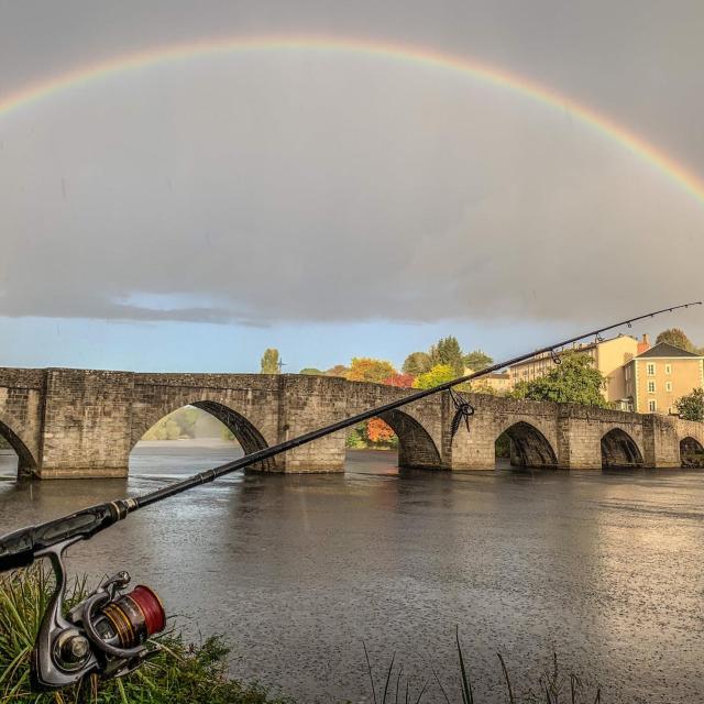 Vienne à Limoges