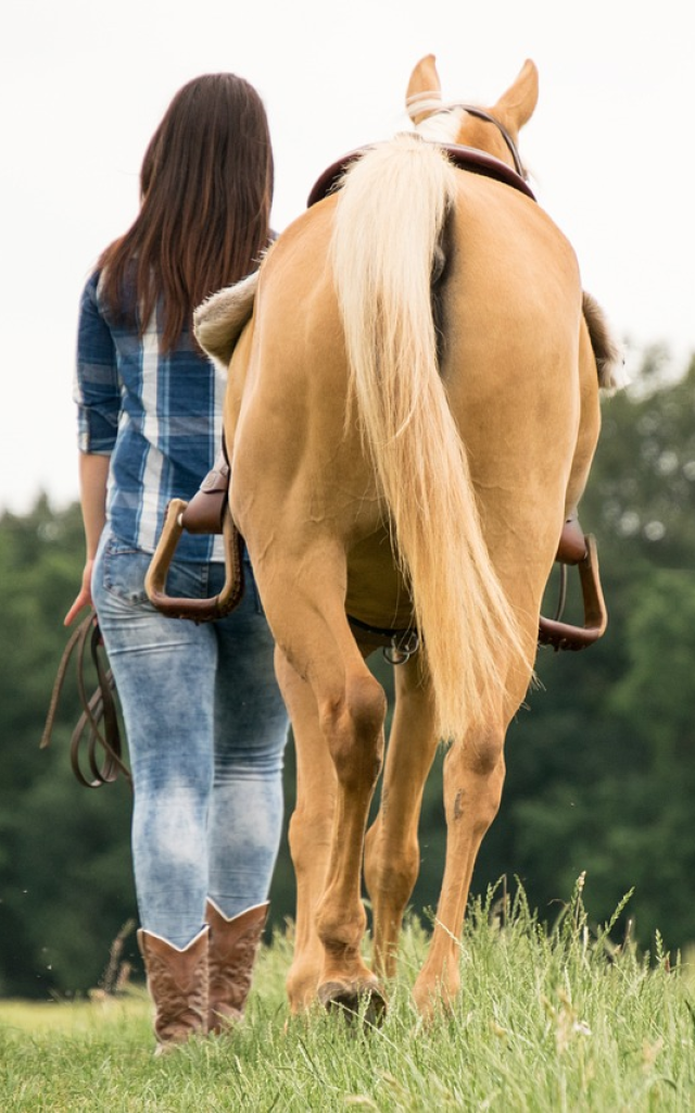 Balade à Cheval