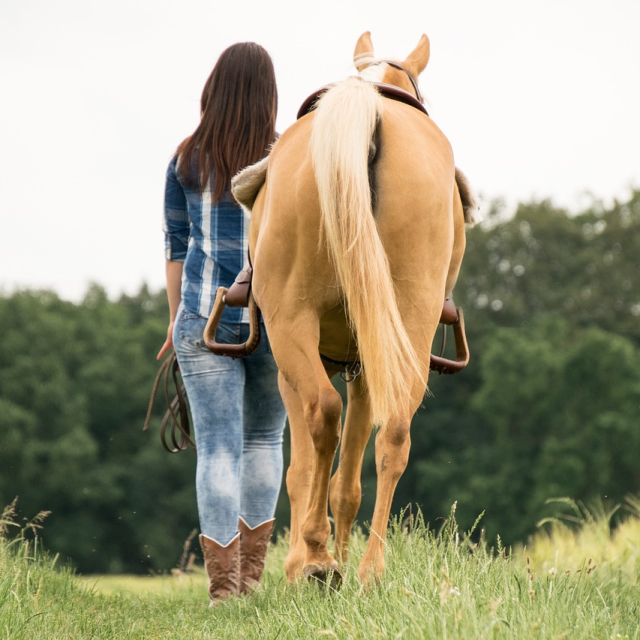 Balade à Cheval