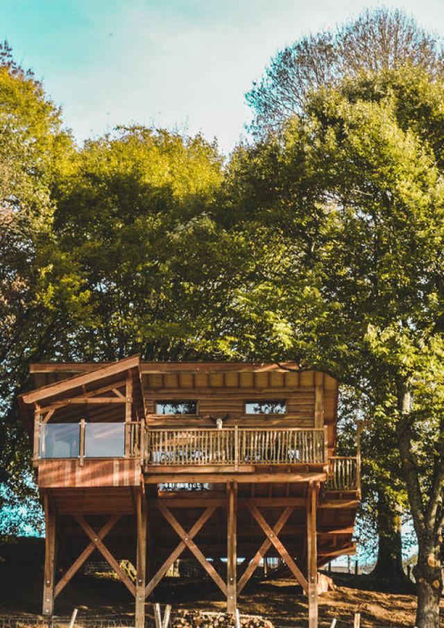 Carrément Perchée Logement Insolite