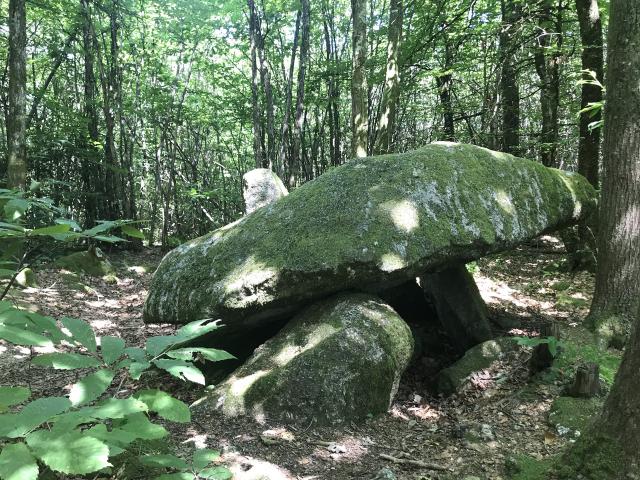 Dolmen De La Lieue