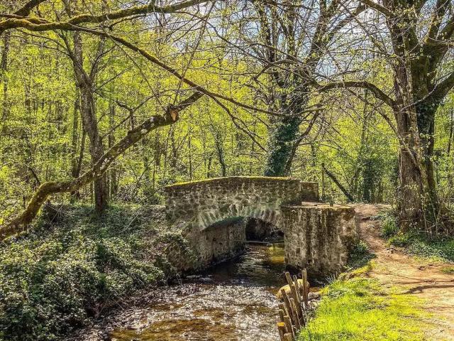 Parc Auzette Panazol Limousin