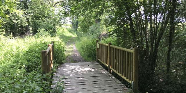 Passerelle En Bois