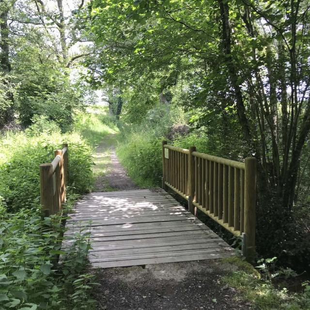 Passerelle En Bois