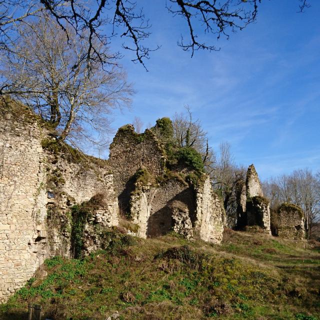 Site du Château de Lavauguyon