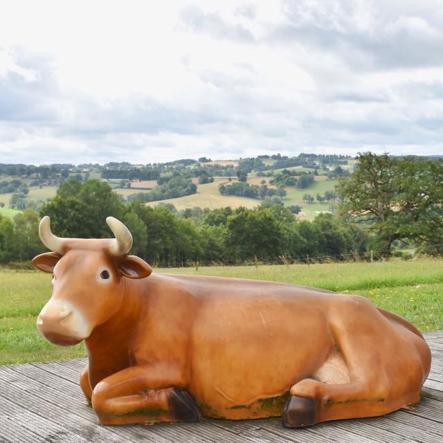 Limousine Park Vache