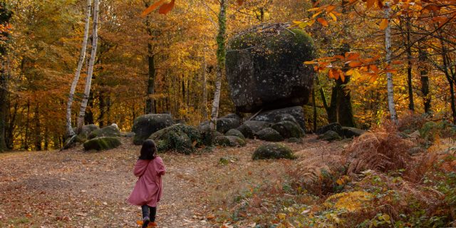 Pierre branlante - Pays du Haut Limousin