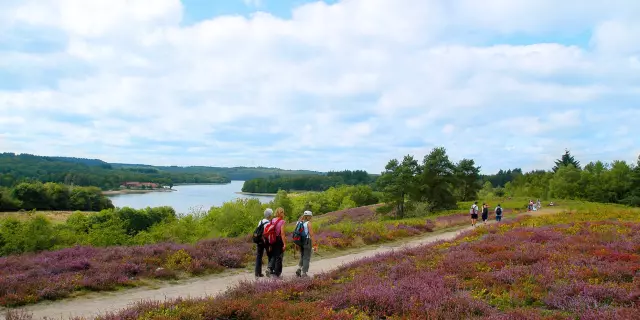 Rando Tour du Lac De St Pardoux