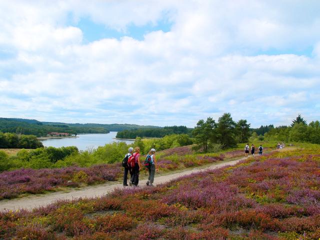 Rando Tour du Lac De St Pardoux