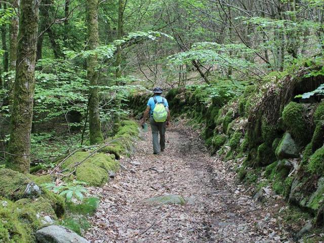 Le chemin des moines de Grandmont