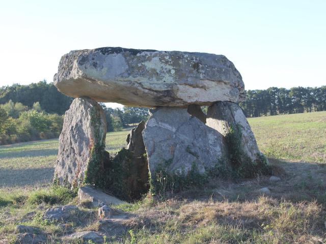 Dolmens de la Betoulle à Breuilaufa