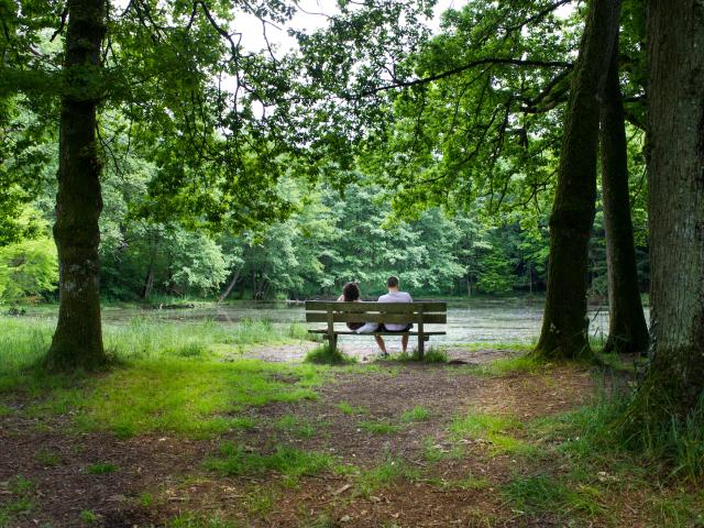 Forêt des Vaseix