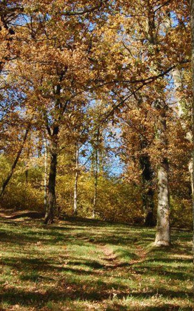 Sentier Le Bois Du Cure Et Des Mille Diables