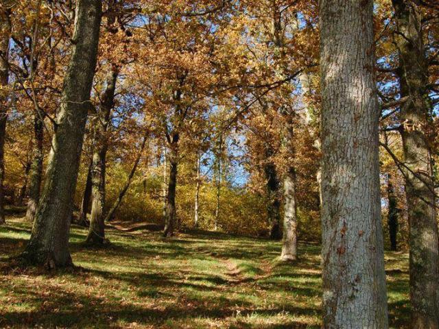 Sentier Le Bois Du Cure Et Des Mille Diables